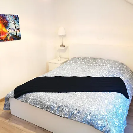 Prázdninový dům Petite Venise Grand Duplex Turenne Hyper Centre *