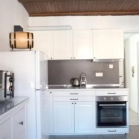 Tatil Evi Petite Venise Grand Duplex Turenne Hyper Centre